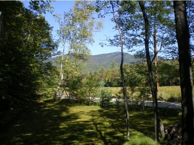 31 Ferncroft Rd, Wonalancet, NH 03897 - photo 2