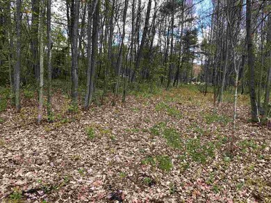 314 Dover Rd, Chichester, NH 03258 - photo 4