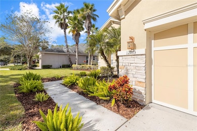 12013 Meridian Point Dr, Tampa, FL 33626 - photo 6