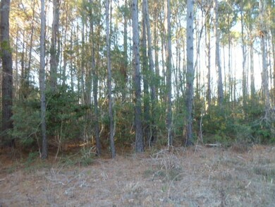 0 Rosa Green Road, Awendaw 29429