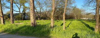 1607 Richardson Rd, Lewisburg, TN 37091 - photo 6