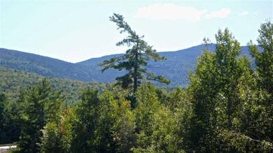 5 Golden Heights Rd unit 36.3, Waterville Valley, NH 03215 - photo 4