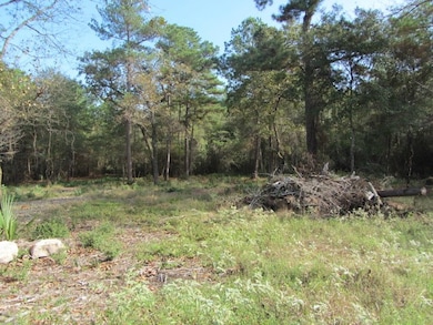 lot view