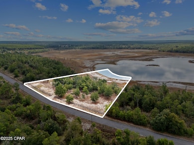 4958 Lake Ridge Rd, Chipley, FL 32428 - photo 2