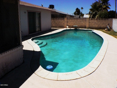 Backyard diving pool.