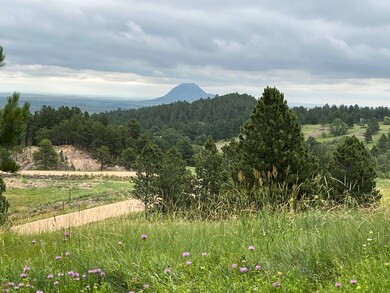 Lot 30 Summit Pass unit Dakota Highland Esta, Whitewood, SD 57793 - photo 6