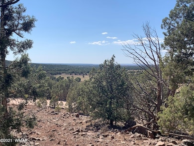 C3115349-4FDC-4E2C-A314-DAE6A2715A9E