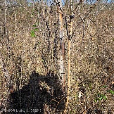 Tract 4 E 1290 Rd, McCurtain, OK 74944 - photo 6