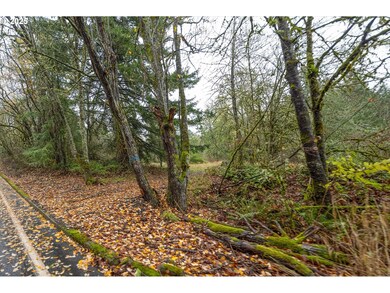 0000 Grimm Rd, Kelso, WA 98626 - photo 2