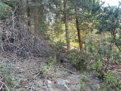 28 Forest Ln, Twin Peaks, CA 92391 - photo 3