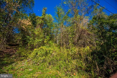 LOT D Rocky Ln, Front Royal, VA 22630 - photo 5