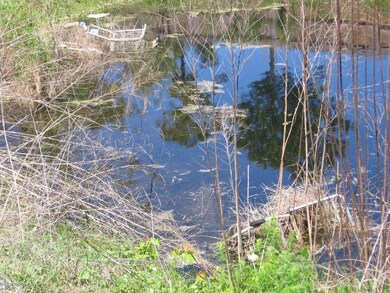 00 Firestone Rd, Jacksonville, FL 32210 - photo 6