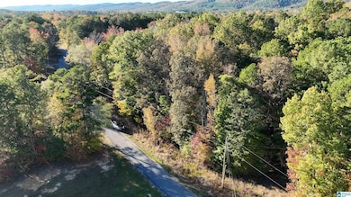 0 Waldrop Rd unit 21436517, Ashville, AL 35953 - photo 7