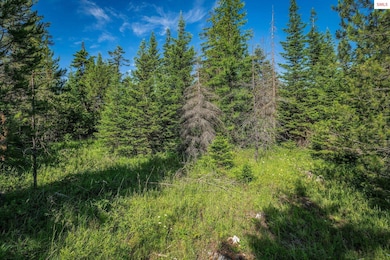 Lot 10 E Riley Loop, Athol, ID 83801 - photo 5