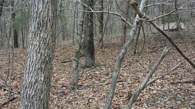 0 Madison 5520, Valley Township, AR 72727 - photo 6