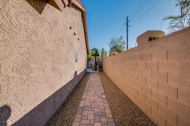 Mesquite-003