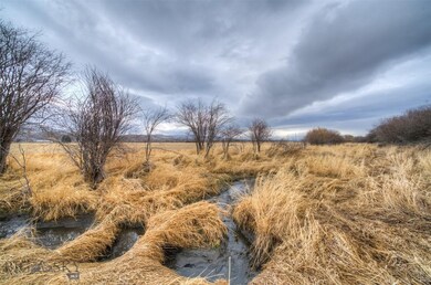 Live Water