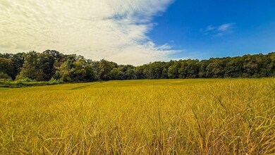 5 E Scotland Rd, Bloomfield, IN 47424 - photo 5