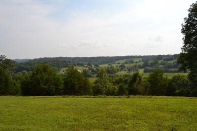 1050 Edmundson Rd, Prospect, TN 38477 - photo 2