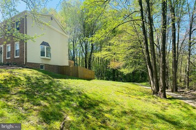 6100 Heron Pond Ct, Burke, VA 22015 - photo 3