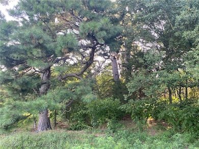 Tract 3 E1250 Rd, Whitefield, OK 74462 - photo 6