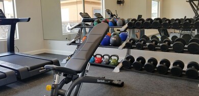 6-ZV Fitness Dumbbell Rake