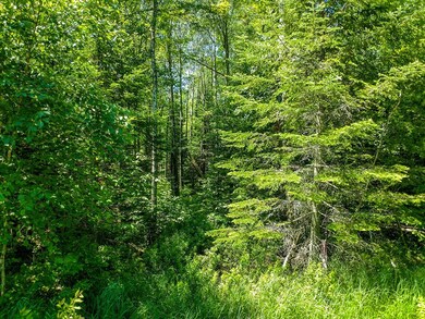 Lot 13 Sanctuary Rd, Tomahawk, WI 54487 - photo 5