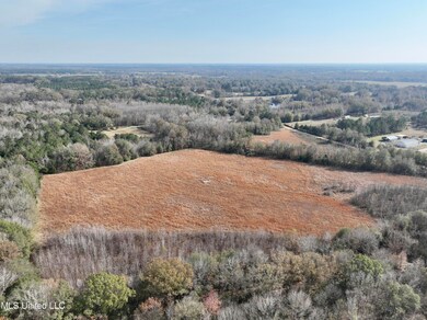 0001 Pisgah Bottom Rd, Canton, MS 39046 - photo 7