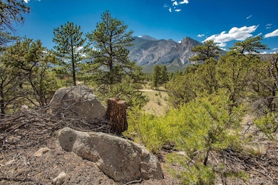 000 Oppliger Dr, Nathrop, CO 81236 - photo 2