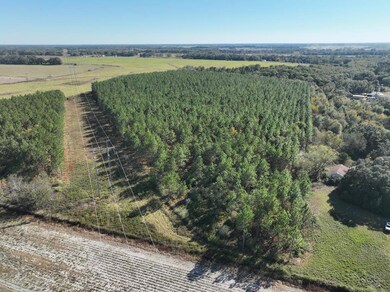 2716 Fryer Rd, Blakely, GA 39823 - photo 4