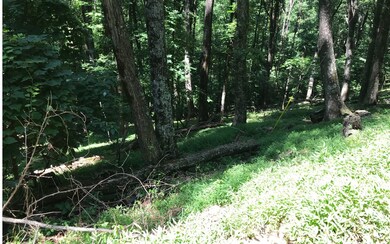 Additional View
