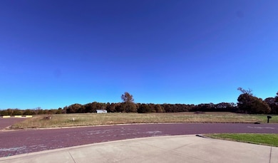 Lot 5 N Port Dr, Monett, MO 65708 - photo 2