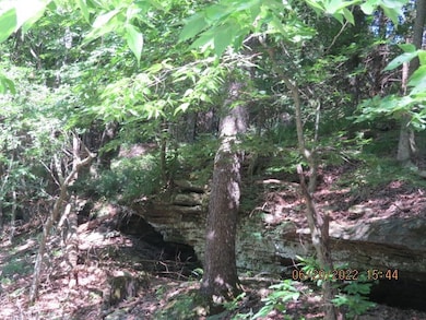 Bluff lines  on the upper property &  a dry creek
