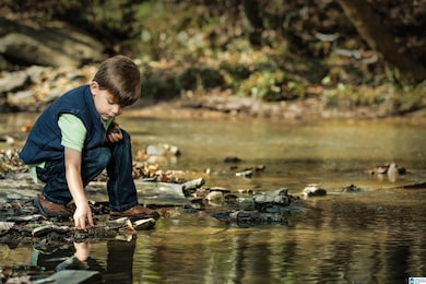 4 Bellerive Knoll, Birmingham, AL 35242 - photo 2