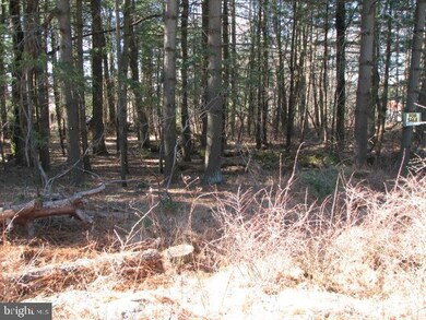 0 Three Turn Rd unit PACB122226, Shippensburg, PA 17257 - photo 5