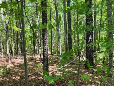 00 K-V Rd, Lunenburg, VA 23944 - photo 5