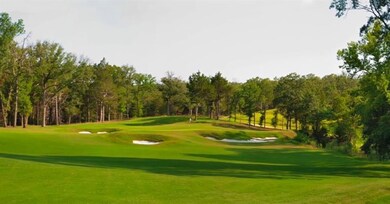 240 Roaring Fork Cir, Gordonville, TX 76245 - photo 4