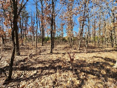 0 Koval Rd unit 22500378, Lyndon Station, WI 53944 - photo 6