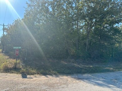 223 Houston Ave, Somerville, TX 77879 - photo 3