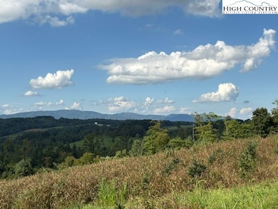 0 Tbd Topia Rd, Piney Creek, NC 28663 - photo 4