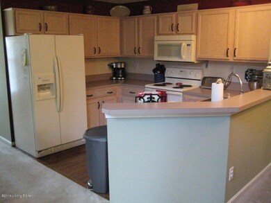 8327 Grand Trevi Dr unit 5801, Louisville, KY 40228 - photo 6