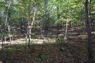 0 Tbd Upper Cady Rd unit 201827580, Chatham, NY - photo 6