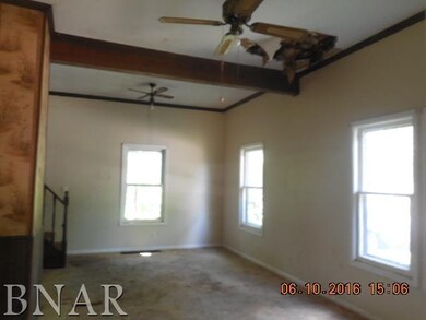 317 W Owsley St, Chenoa, IL 61726 - photo 2