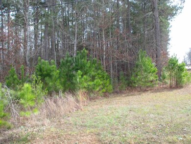 26 Vienna Rd, Gaffney, SC 29340 - photo 5