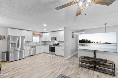 2405 Southern Dr, Morristown, TN 37814 - photo 7