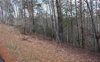 Additional View