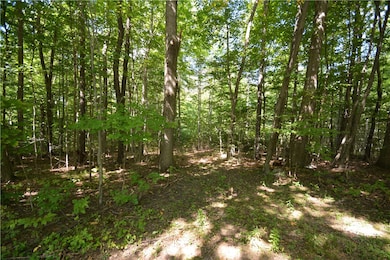 6495 Edson Rd, Naples, NY 14512 - photo 4