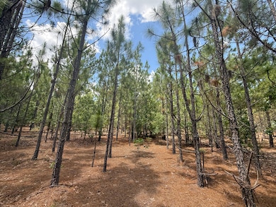 0 Beaver Dam Rd unit 25031385, Cassatt, SC 29032 - photo 6