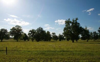 LOT49 Upstage Glen, Lake City, FL 32024 - photo 2