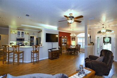 Open Space Anchored By Kitchen